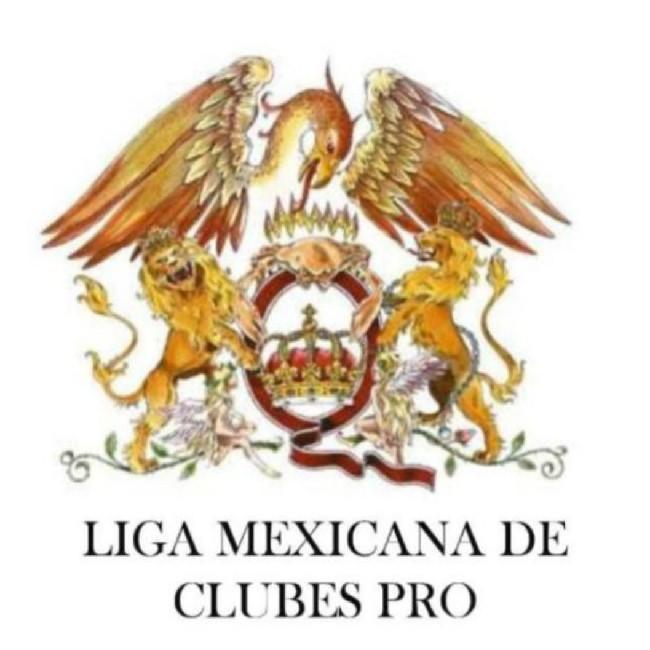 LIGA MEXICANA  DE CLUBES  DIV 3