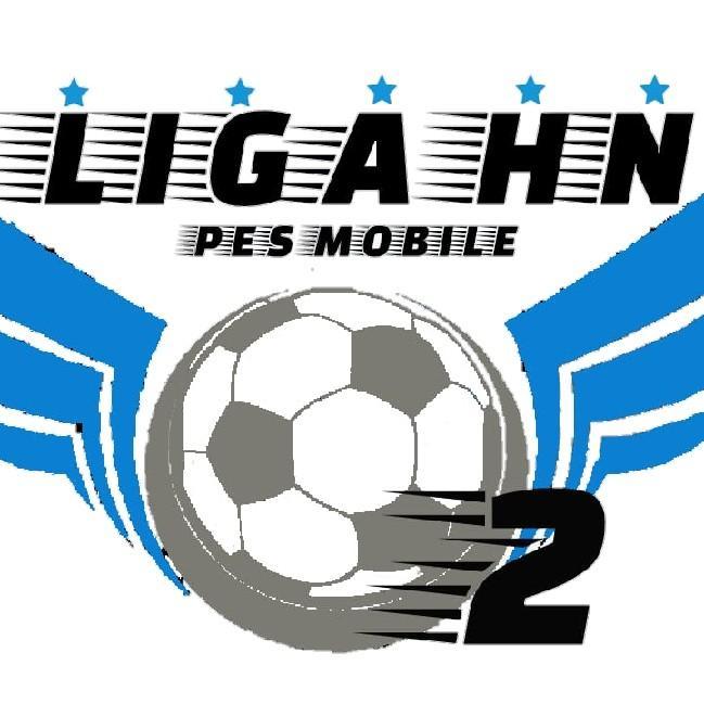 LHN 2D - 6T