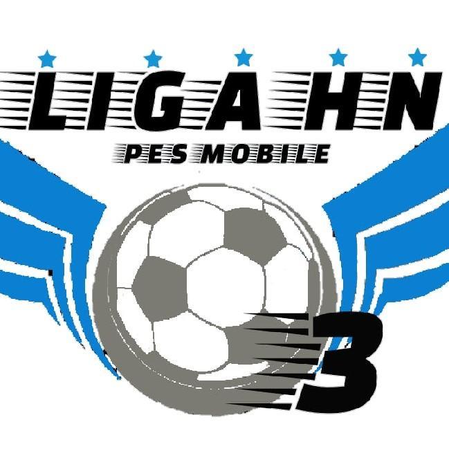 LHN 3D - 6T