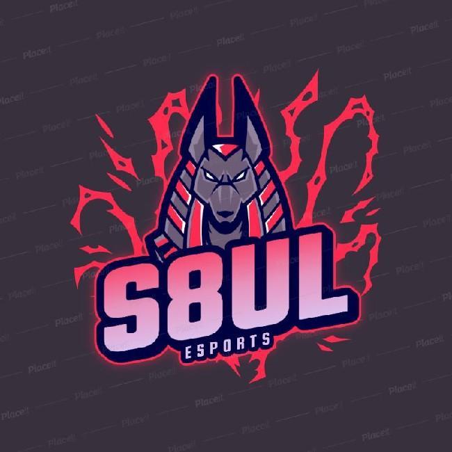 S8UL ESPORT