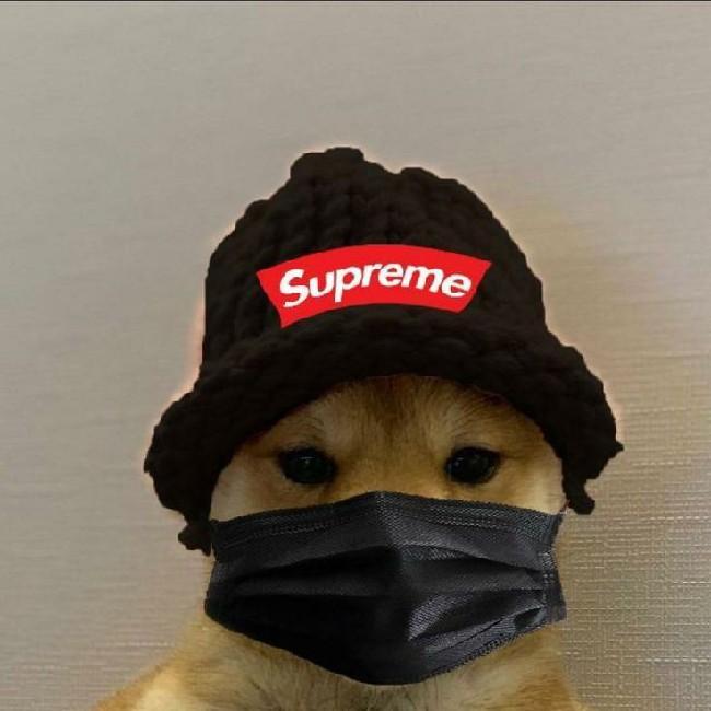 Dogzin