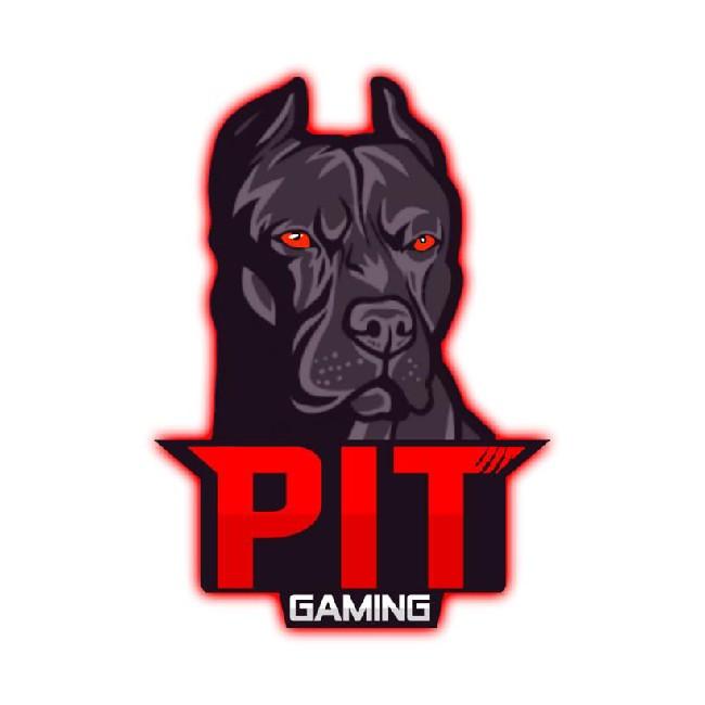 PIT GAMING