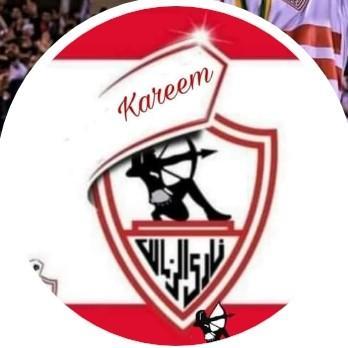 Kareem Mohamed Abdelwahed