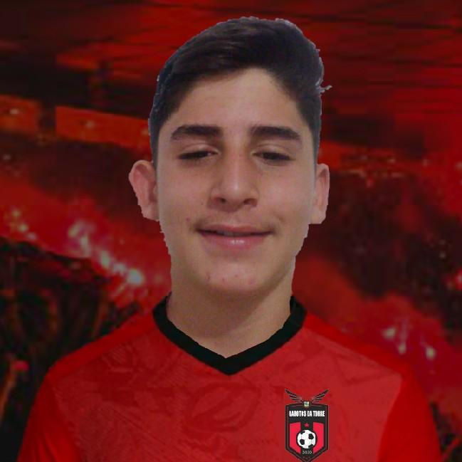 LUIZ HENRIQUE SOARES SILVA