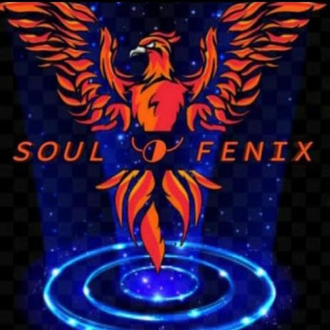 Soul Fenix