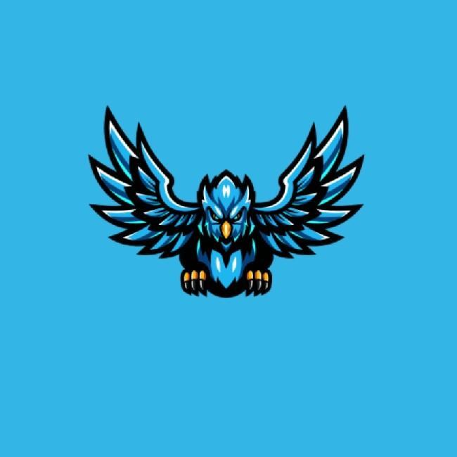 Kentucky Hawks
