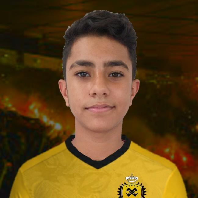 LUCAS GABRIEL TAVARES ALVES