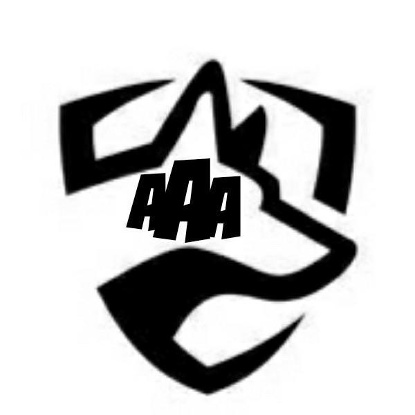 A. A. Armenteiros