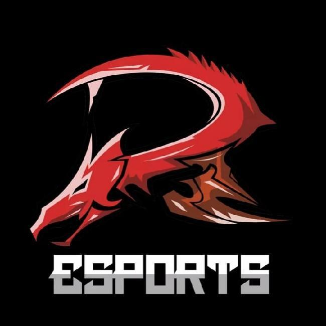 DR Esports