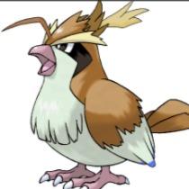 Pidgey