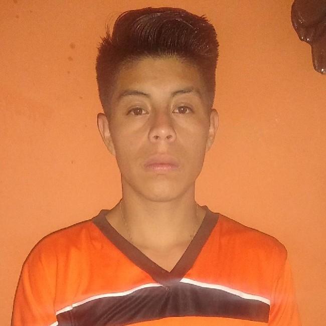 Alan David Herrera Mendoza