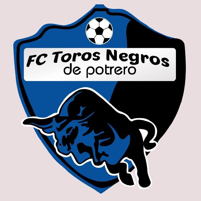 FC Toros Negros