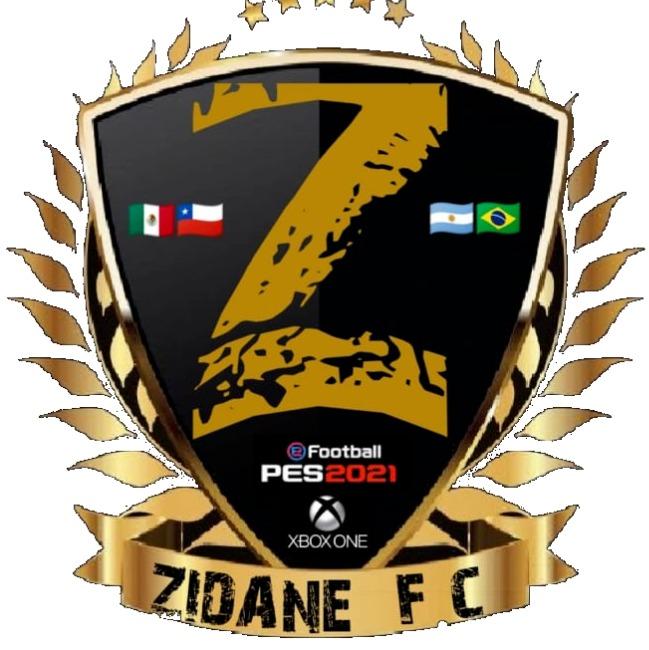 ZIDANE - INTERNACIONAL