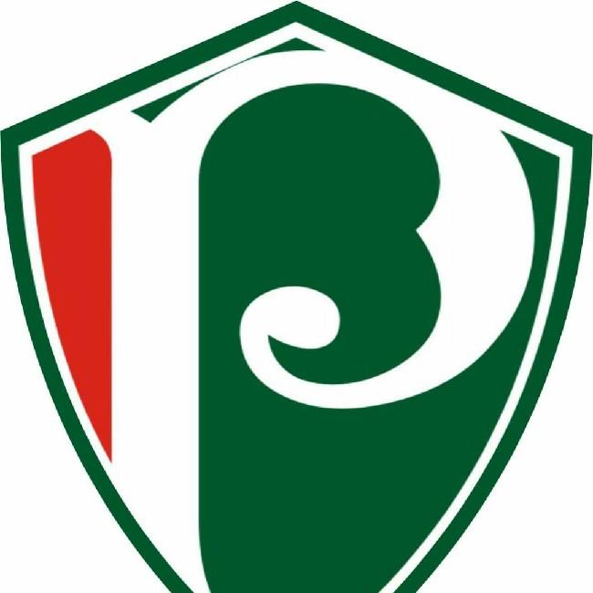 Palmeira