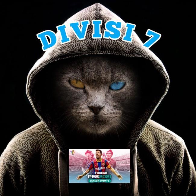 DIVISI 7