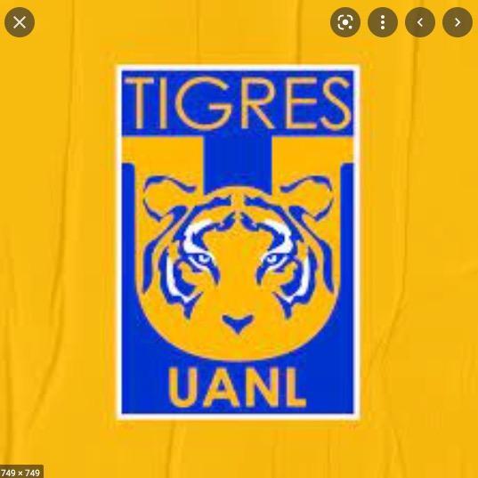 Tigres UANL