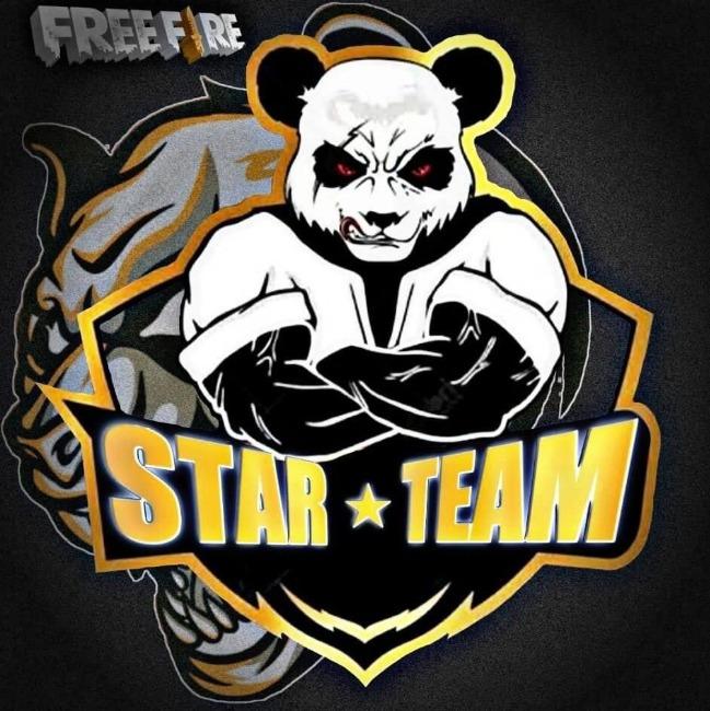 STAR TEAM