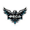 Peca 🇹🇷