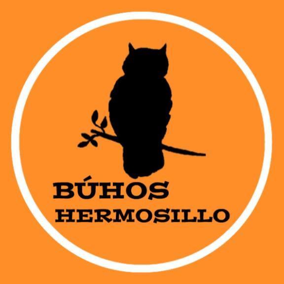 Buhos Hermosillo