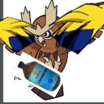 Noctowl