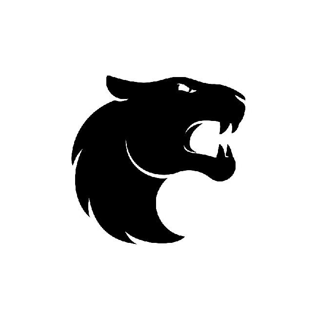 FURIA