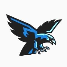 Playania Eagles