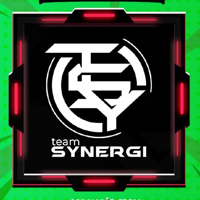 Team Sinergy