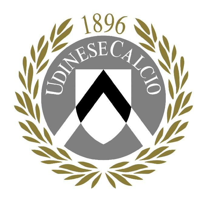 Udinise