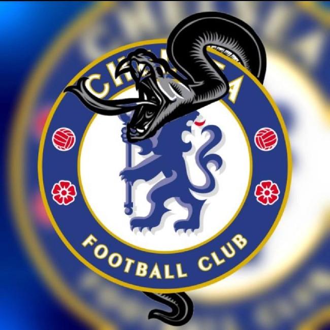 Snake Chelsea