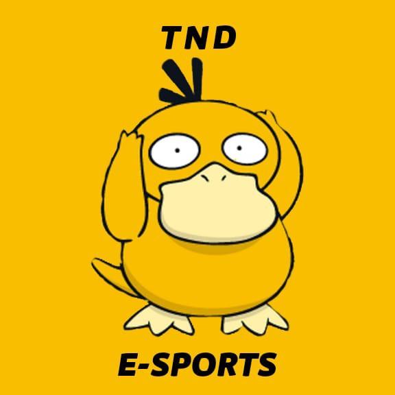 TND E-SPORTS