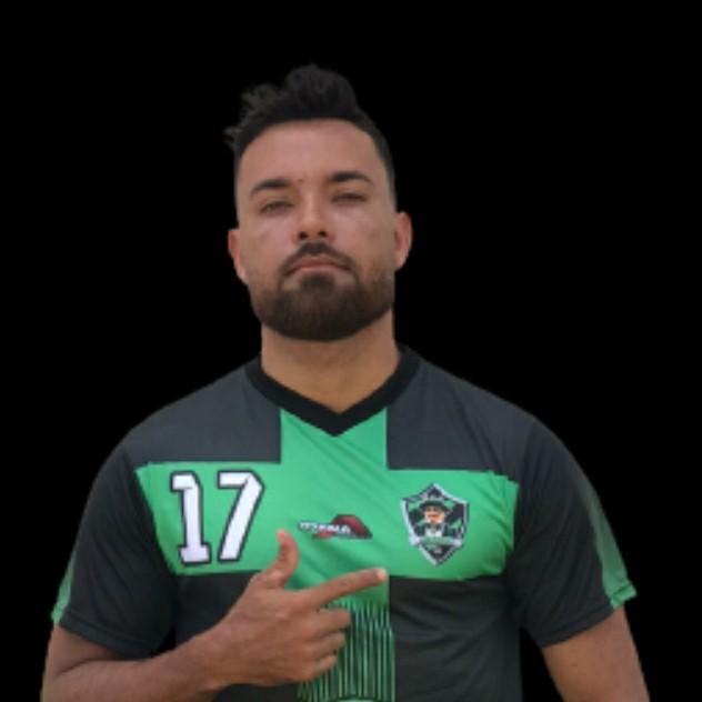 Bruno H Marculino