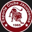 Jacuipense