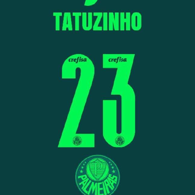Tatuzinho