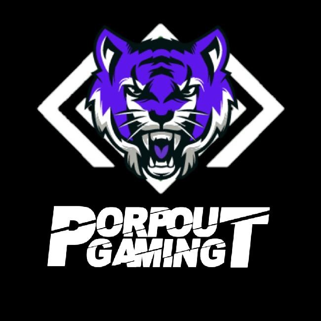 Porpout Gaming
