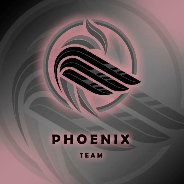 Phoenix team