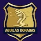 NSG "GUDANKS" FC