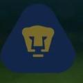 Pumas
