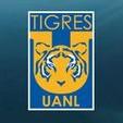 Tigres