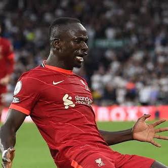 S. Mane