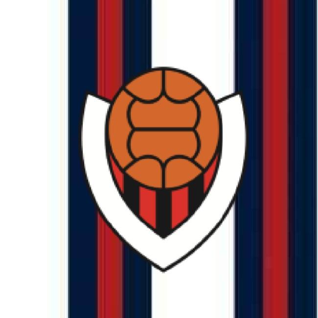 Vikingur Reykjavik