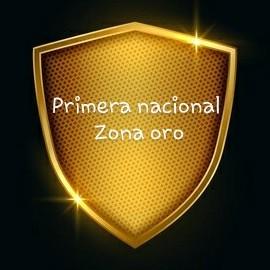 Liga profecional