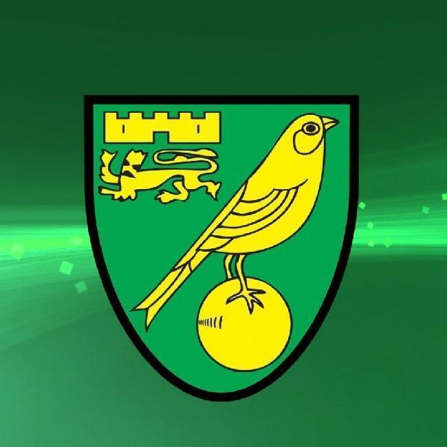 Norwich city