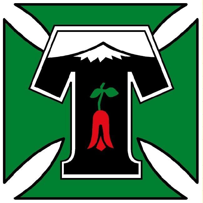 TEMUCO