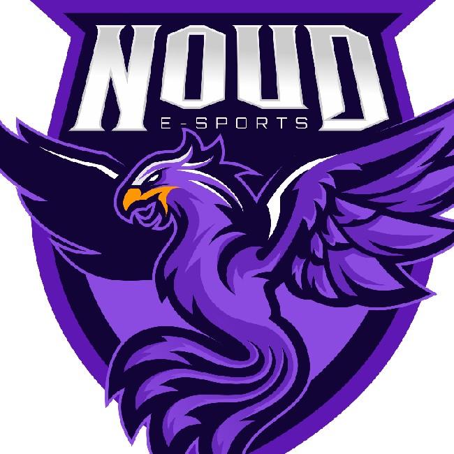 NOUD E-SPORTS