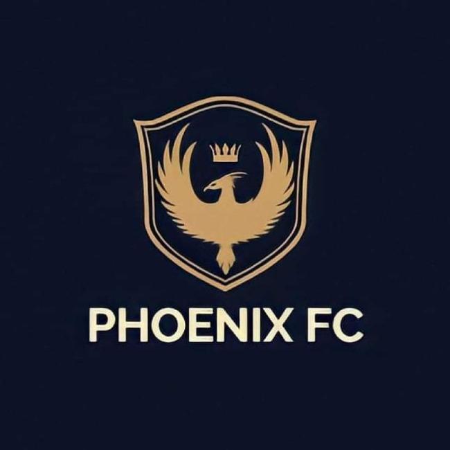 PHOENIX FC 🇻🇳