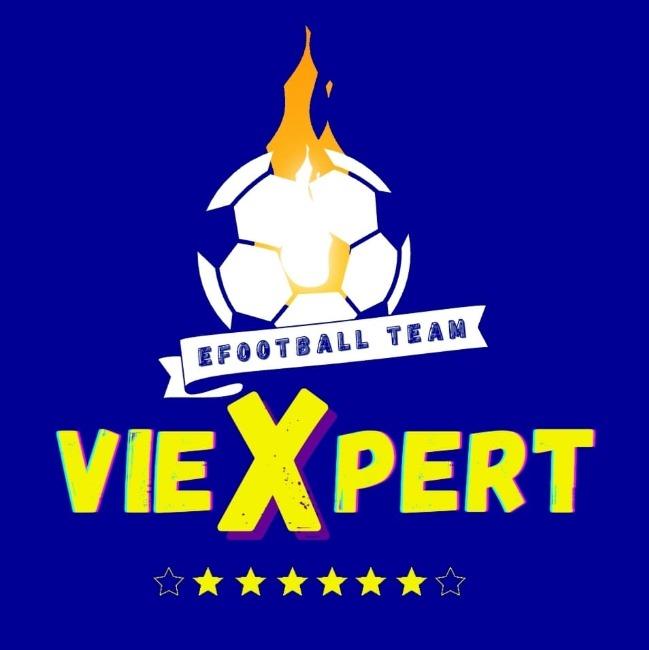 VIEXPERT 🇻🇳