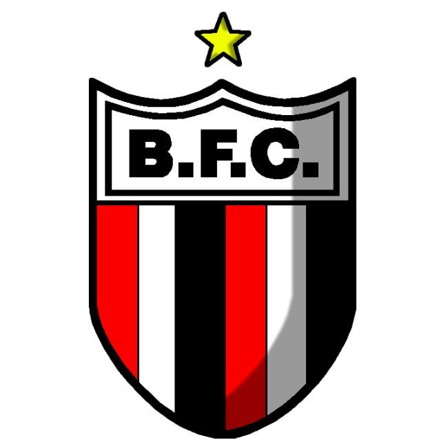 BOTAFOGO DE RIBEIRÃO PRETO