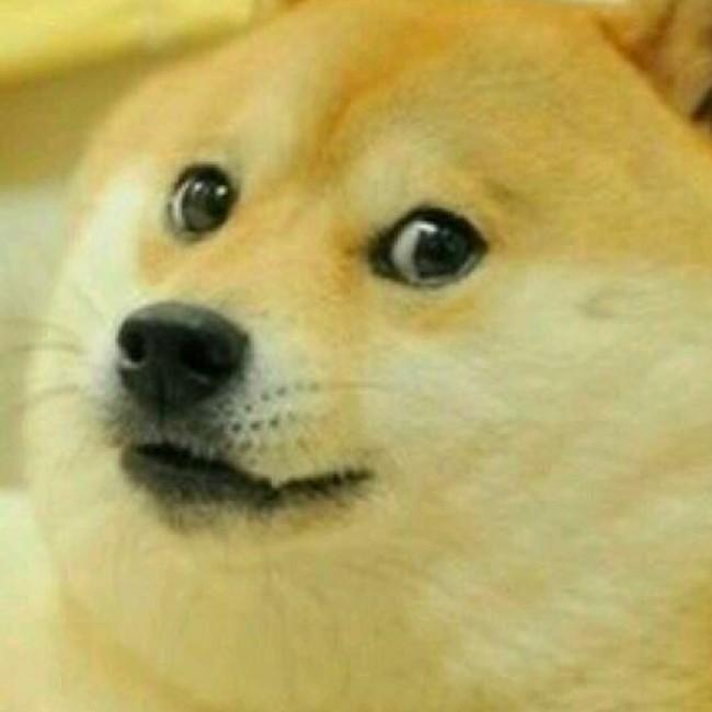 Doge