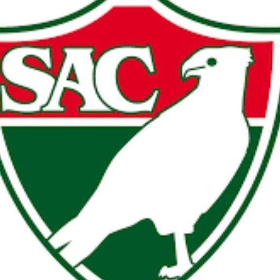 Salgueiro