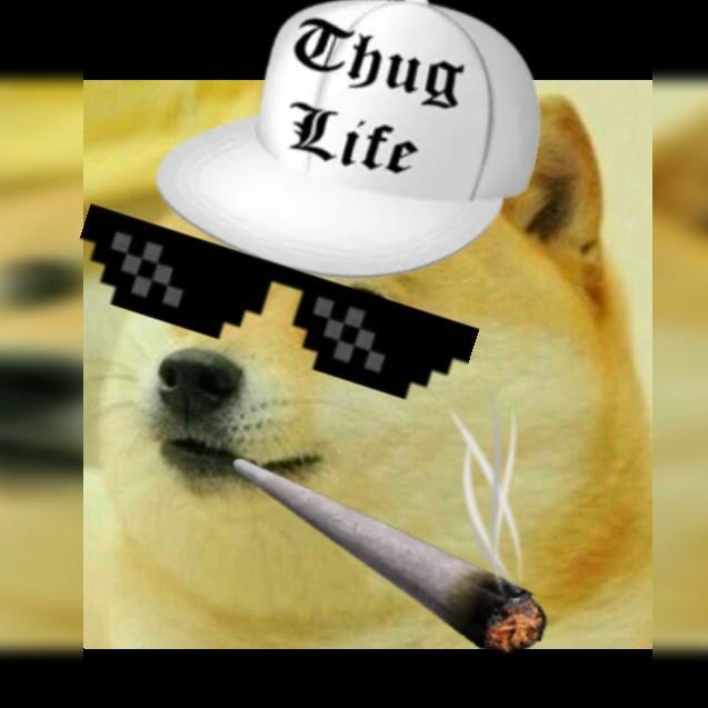 Smokke Doge